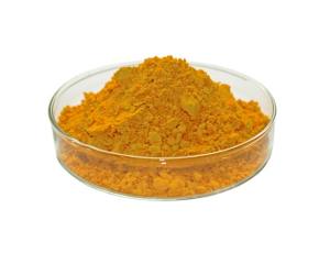 coenzyme q10