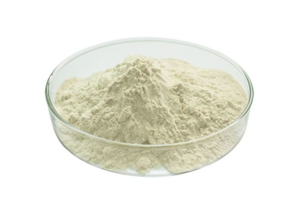 Boswellia Serrata Extract Powder (95% Boswellic Acid)